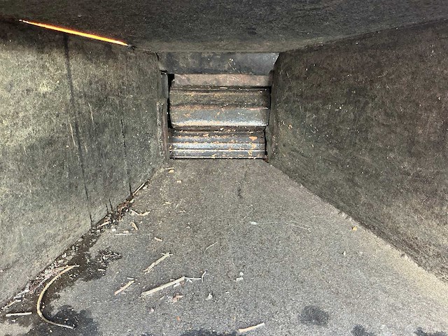 Houthakselaar - afbeelding 8 van  10