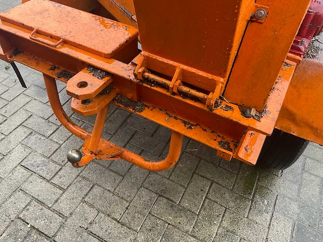 Houthakselaar - afbeelding 6 van  10