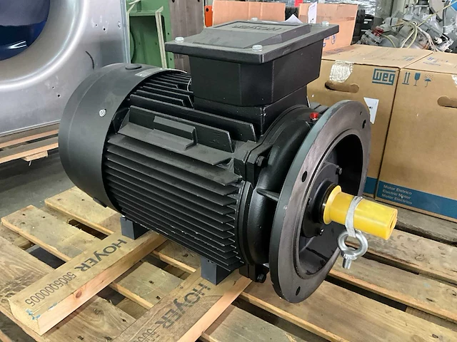 Hoyer hmc3-200l-4. elektromotor - afbeelding 2 van  6