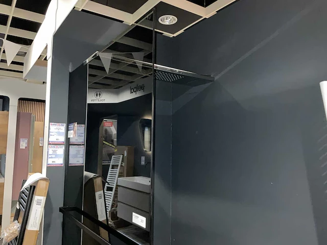 Hsk wald in pro, lavida plus douchewand met regendouche - afbeelding 1 van  9