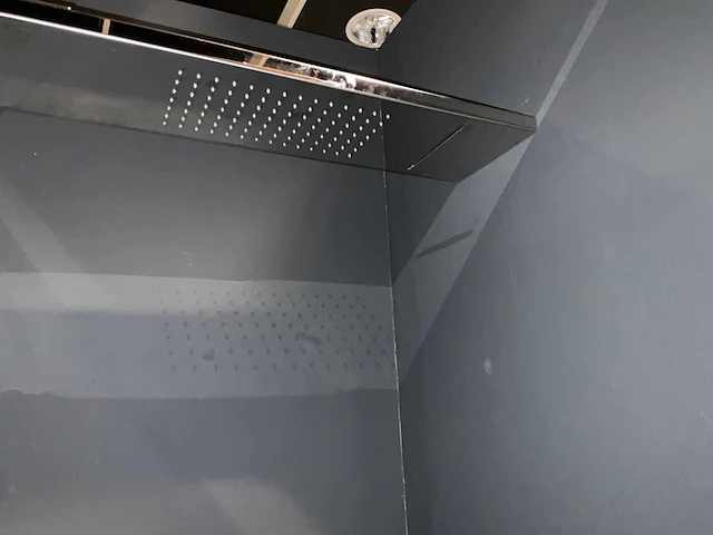 Hsk wald in pro, lavida plus douchewand met regendouche - afbeelding 3 van  9