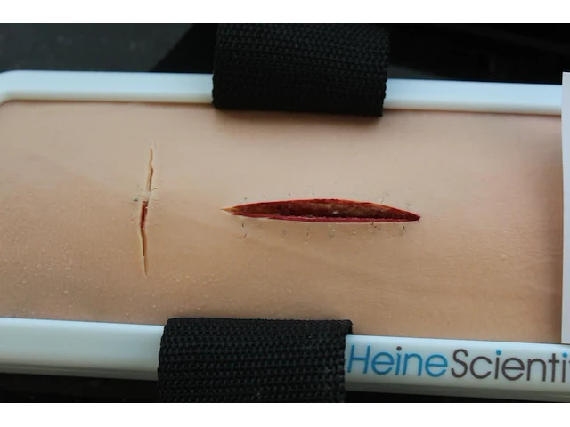 Huidhechting trainer heine scientific - afbeelding 2 van  2
