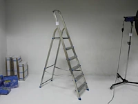 Huishoudtrap gamma met vijf treden en bordes. - afbeelding 3 van  4