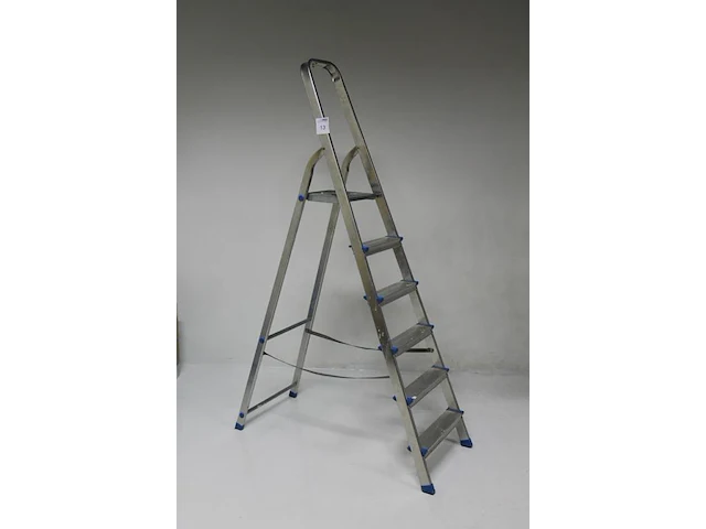 Huishoudtrap gamma met vijf treden en bordes. - afbeelding 4 van  4