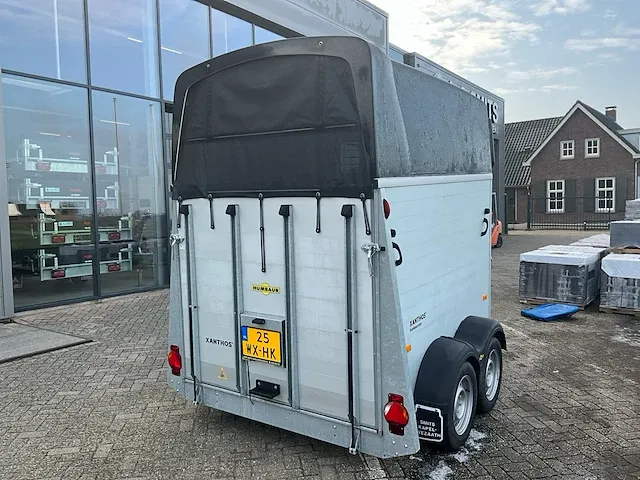Humbaur twee paard xantos paardentrailer - afbeelding 4 van  8