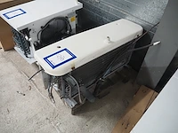 Husky - afbeelding 2 van  6