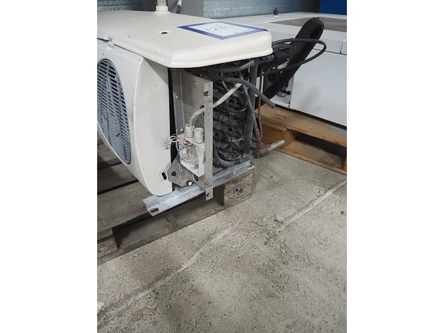 Husky - afbeelding 5 van  6