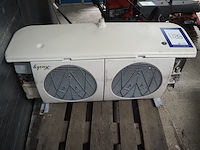 Husky - afbeelding 1 van  8