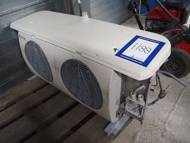 Husky - afbeelding 2 van  8