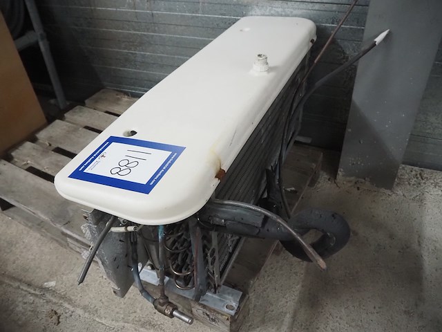 Husky - afbeelding 3 van  8