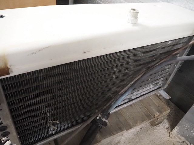 Husky - afbeelding 5 van  8