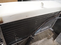 Husky - afbeelding 5 van  8