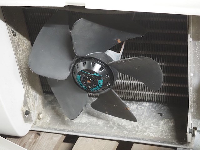 Husky - afbeelding 6 van  8