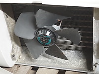 Husky - afbeelding 6 van  8