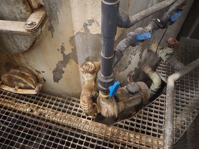 Hvs henniger - afbeelding 3 van  9