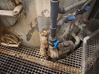 Hvs henniger - afbeelding 3 van  9