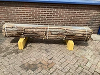 Iep - 2018 gezaagd 380 x 390 x 2580 mm - schaaldeel (6x) - afbeelding 2 van  6