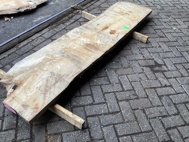 Iep - kd ovengedroogd 2500x540x65 mm - schaaldeel - afbeelding 7 van  7