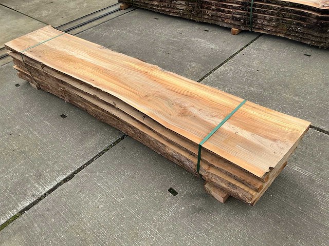 Iep (0,379 m3) - afbeelding 5 van  10