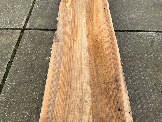 Iep (0,379 m3) - afbeelding 7 van  10