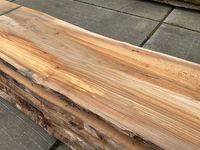 Iep (0,379 m3) - afbeelding 8 van  10