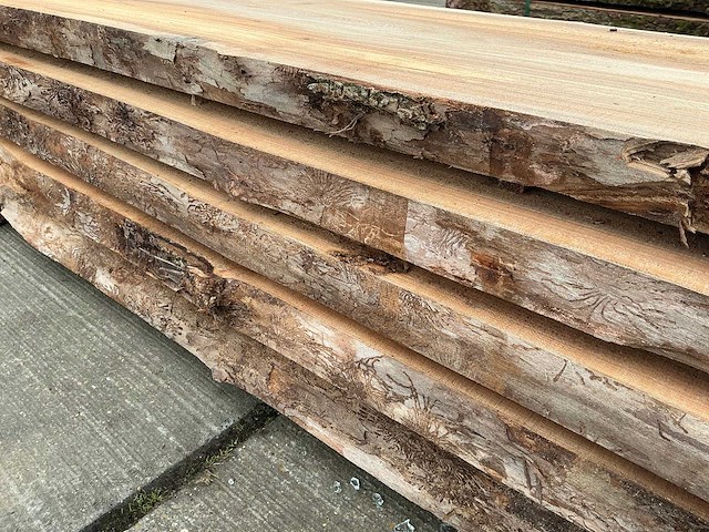 Iep (0,379 m3) - afbeelding 9 van  10