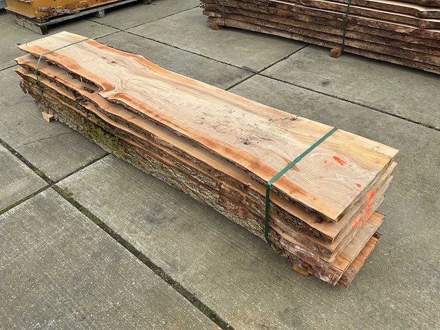 Iep (0,419 m3) - afbeelding 3 van  10