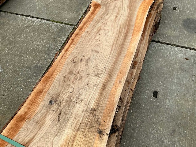 Iep (0,419 m3) - afbeelding 7 van  10