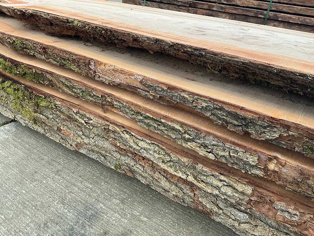 Iep (0,419 m3) - afbeelding 8 van  10