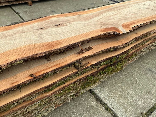 Iep (0,419 m3) - afbeelding 9 van  10