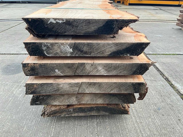 Iep (0,419 m3) - afbeelding 10 van  10