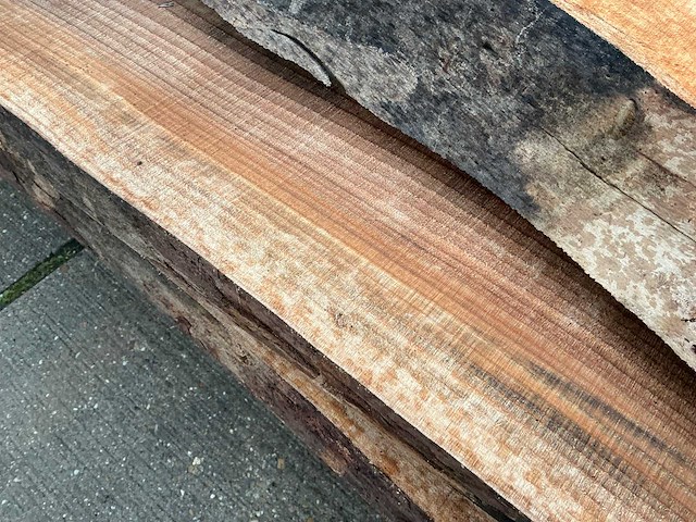 Iep (0,458 m3) - afbeelding 7 van  10