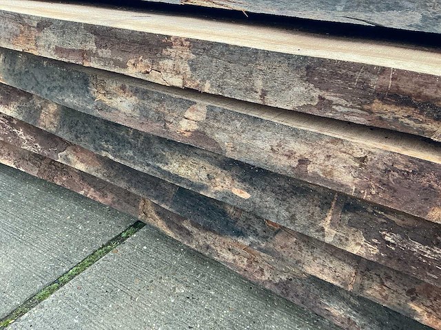 Iep (0,458 m3) - afbeelding 8 van  10