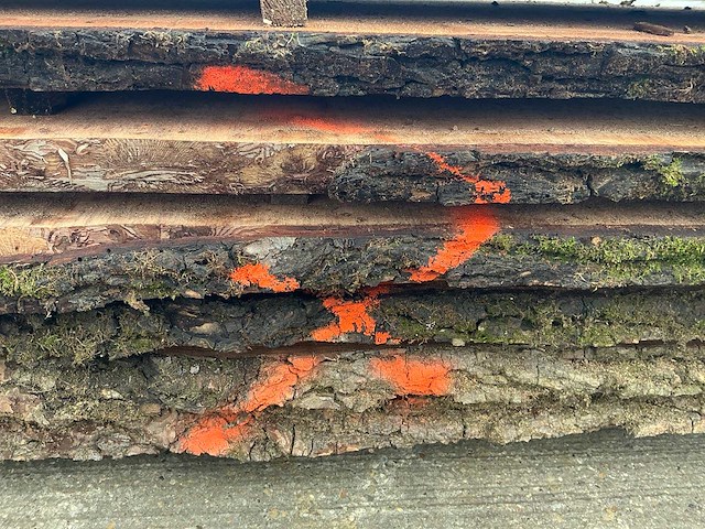 Iep (0,495 m3) - afbeelding 3 van  11