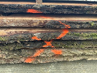 Iep (0,495 m3) - afbeelding 3 van  11