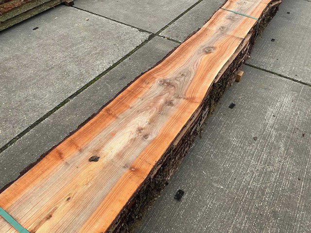 Iep (0,495 m3) - afbeelding 7 van  11