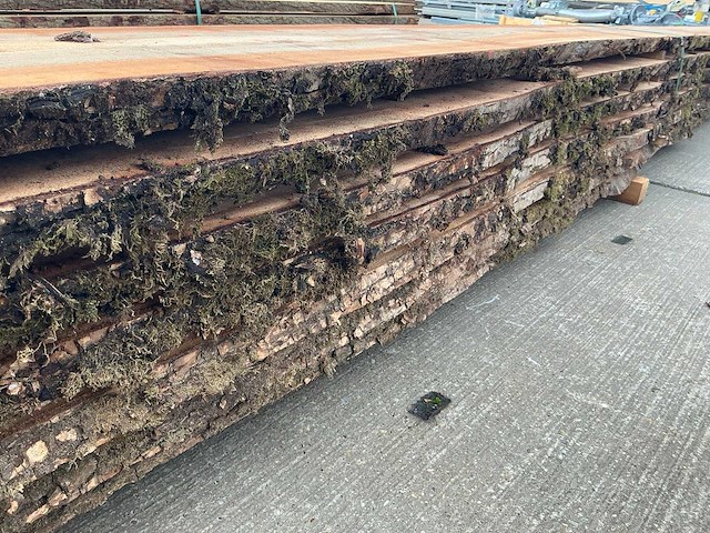 Iep (0,495 m3) - afbeelding 8 van  11