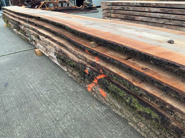 Iep (0,495 m3) - afbeelding 9 van  11