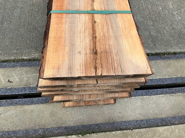 Iep (0,495 m3) - afbeelding 10 van  11