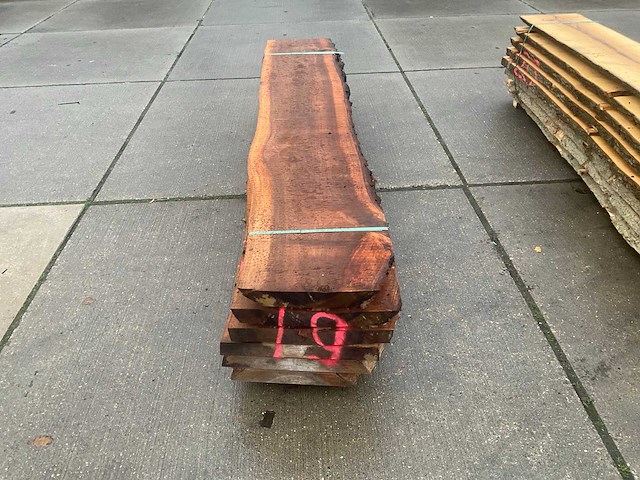 Iep (0,498 m3) - afbeelding 2 van  6