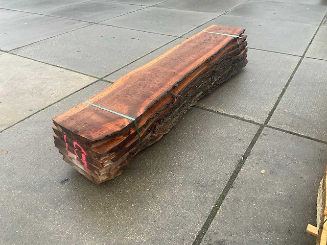 Iep (0,498 m3) - afbeelding 3 van  6