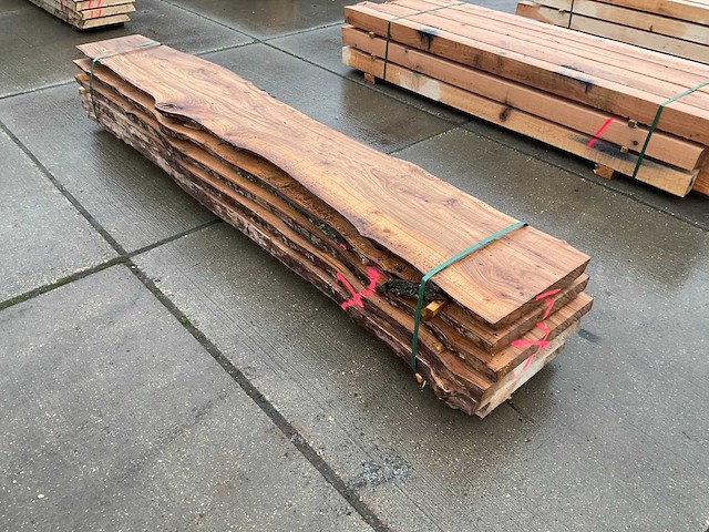 Iep (0,500 m3) - afbeelding 1 van  6