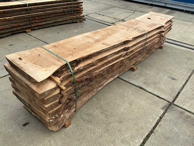 Iep (0,700 m3) - afbeelding 1 van  10