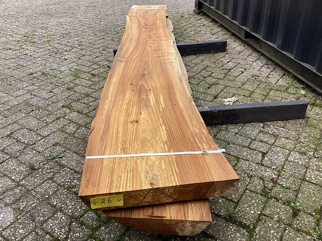 Iep (2x) - afbeelding 7 van  7