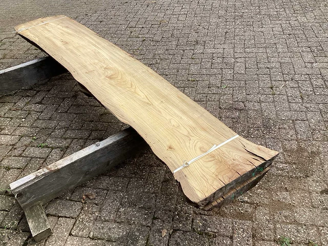 Iep (2x) - afbeelding 3 van  5