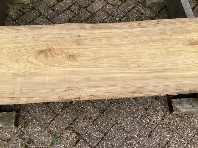 Iep (2x) - afbeelding 4 van  5