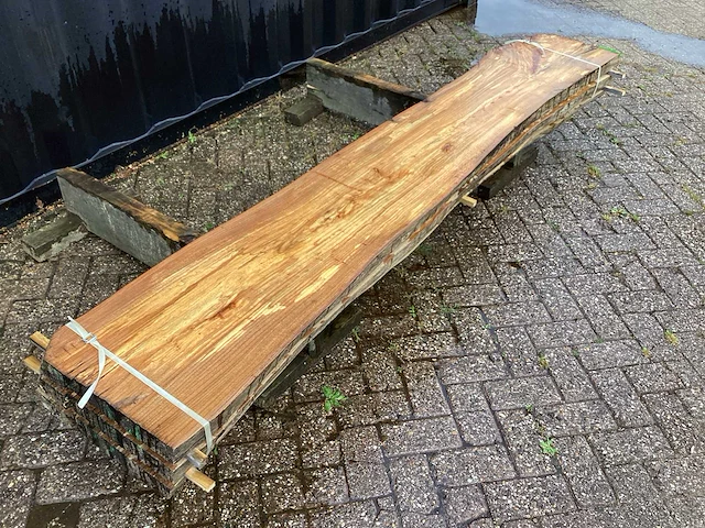 Iep (3x) - afbeelding 3 van  8