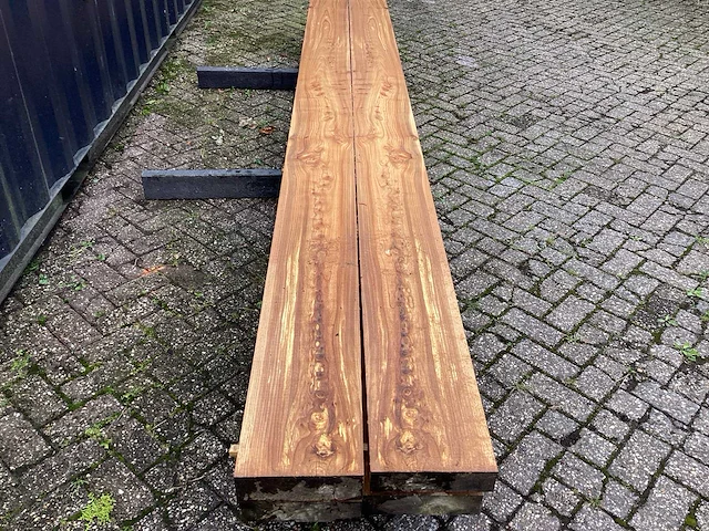 Iep (4x) - afbeelding 4 van  8