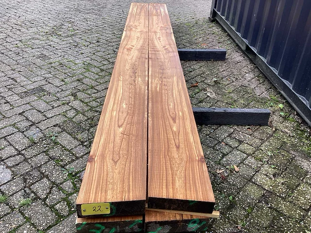 Iep (4x) - afbeelding 8 van  8