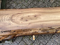 Iep (4x) - afbeelding 6 van  7